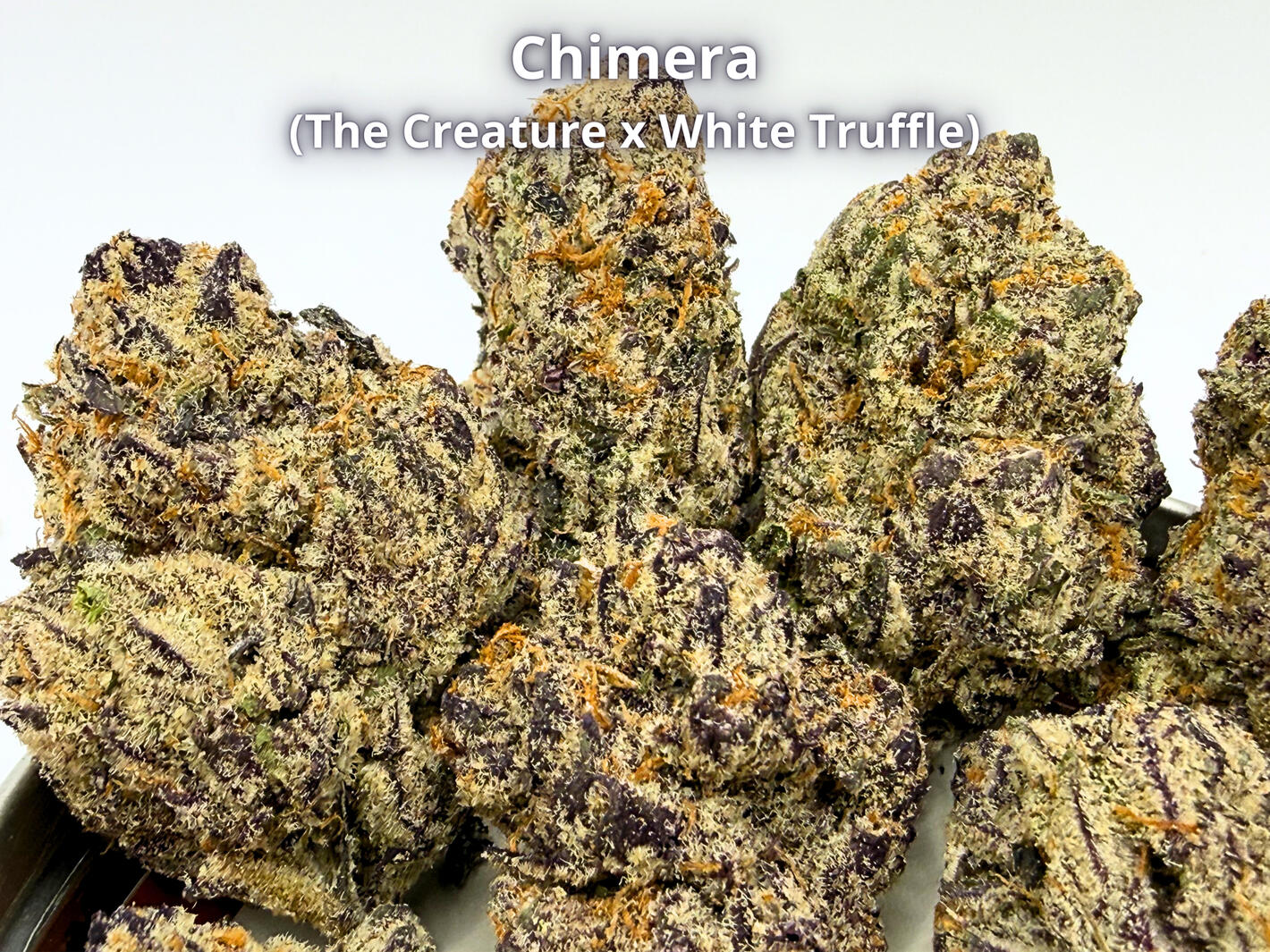Premium Chimera THCa hemp flower