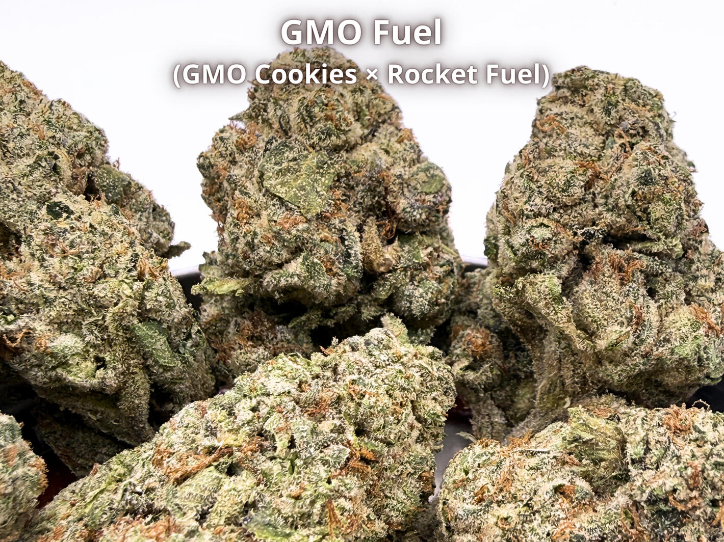 Premium Runtz Carlton THCa hemp flower