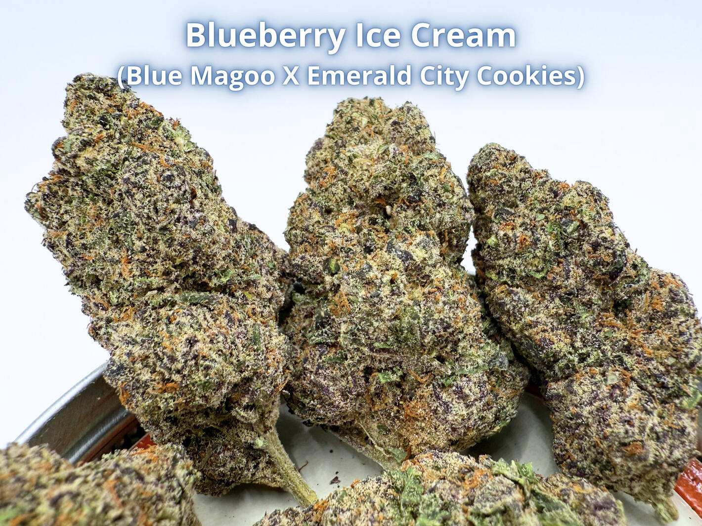 Premium Blueberry Ice Cream THCa hemp flower