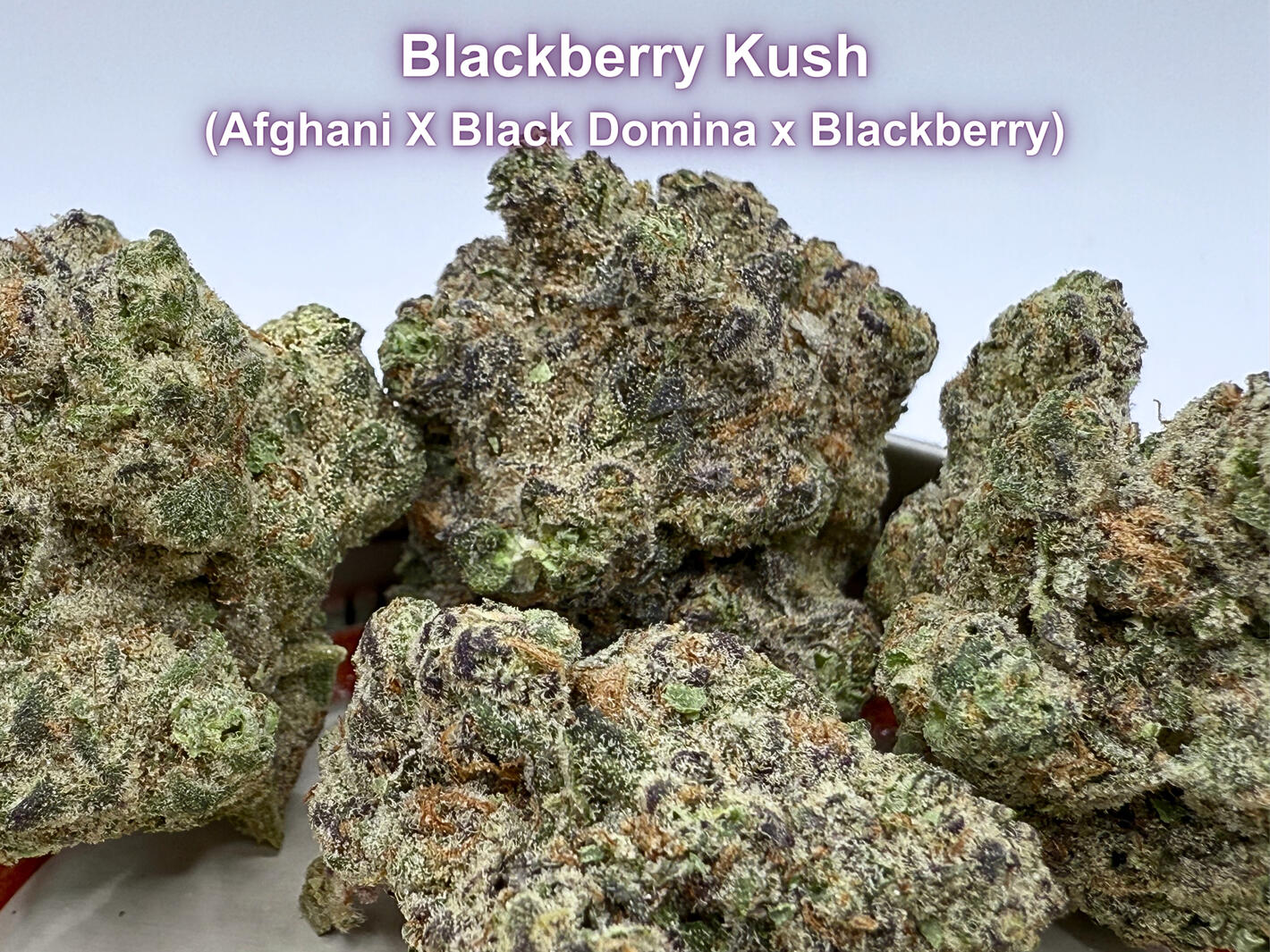 Premium Blackberry Kush THCa hemp flower