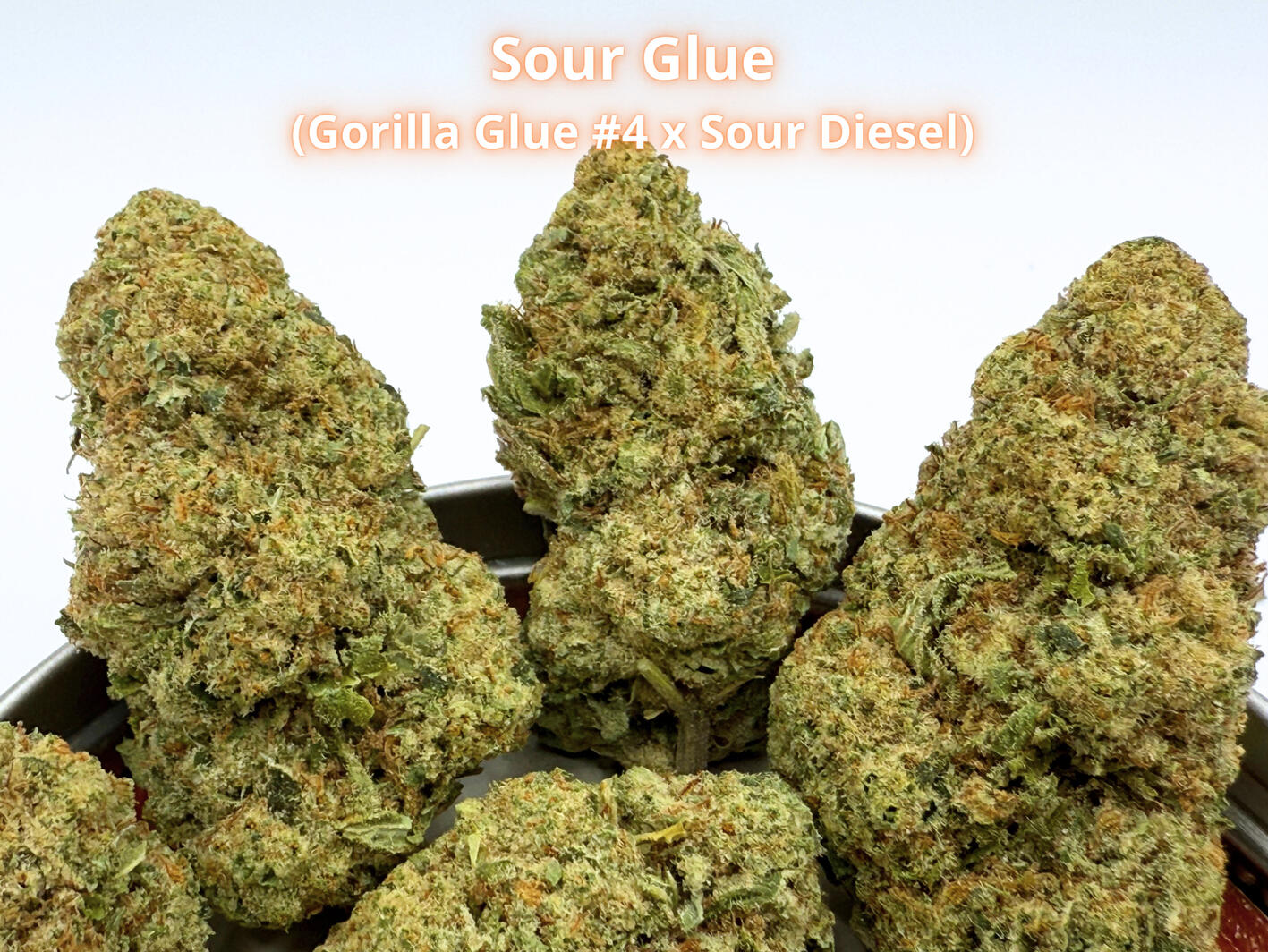 Premium Sour Glue THCa hemp flower